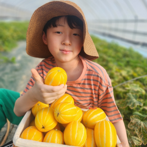 [초록이네] 고당도 성주 참외 꿀참외, 1박스, 3kg(선물용)