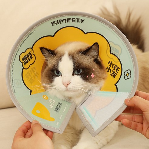 안전한 사용과 다양한 디자인으로 반려동물 보호에 탁월한 아이템