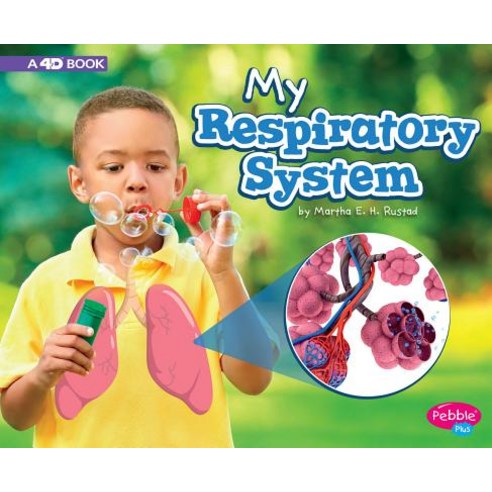 My Respiratory System: A 4D Book Paperback, Pebble Books
