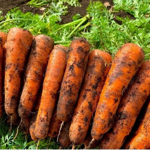 자연의 맛, 건강한 선택