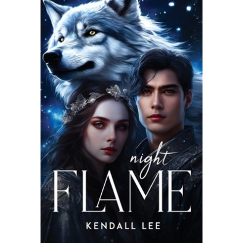 (영문도서) Night Flame Paperback, Kendall Lee, English, 9788259441690