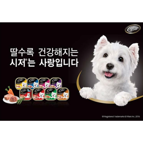 시저캔 강아지 간식 영양간식 먹이, 1개, 100g, 닭고기