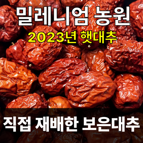 2023/보은대추/밀레니엄 농원/대추/건대추(1kg)