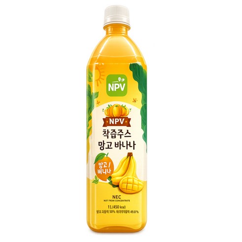 NPV 착즙주스 망고 바나나, 12개, 1L