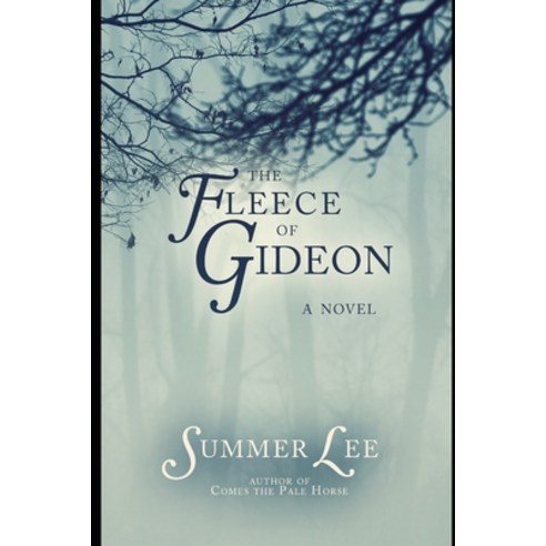 (영문도서) The Fleece of Gideon Paperback, Independently Published, English, 9781092399630