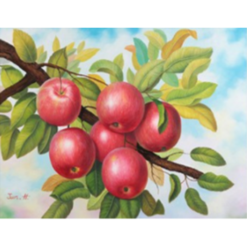 예스아트 DIY 보석십자수 40x30 캔버스 액자형, 탐스러운 사과
