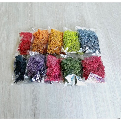 스칸디아모스 소량포장 손질된 모스 공기정화식물 – 15g, 옐로우 모스에어 스칸디아모스 소량포장 손질된 모스 공기정화식물 – 15g, 옐로우 모스에어