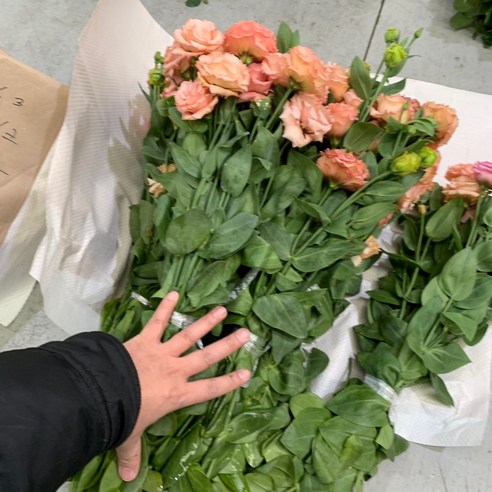 생생한 자연미를 선사하는 리시안셔스 생화 한단