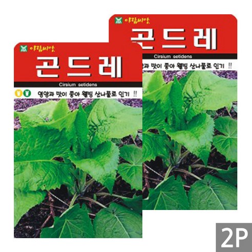 세인화분 곤드레 100립 - 국산 나물 산나물 씨 씨앗 고려 엉겅퀴 다년생, 2개
