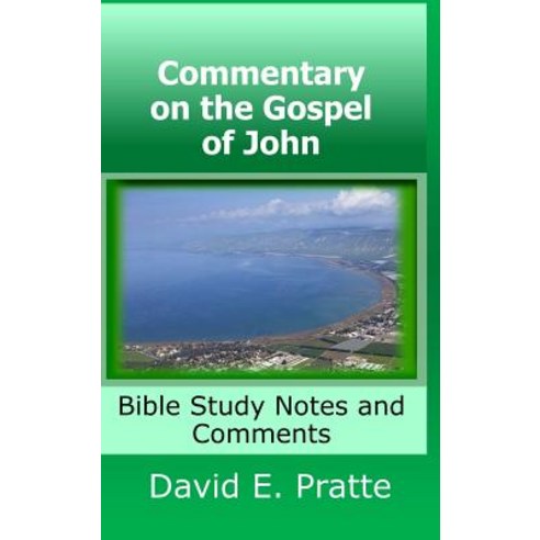 (영문도서) Commentary on the Gospel of John: Bible Study Notes and Comments Hardcover, Lulu.com, English, 9780359315918