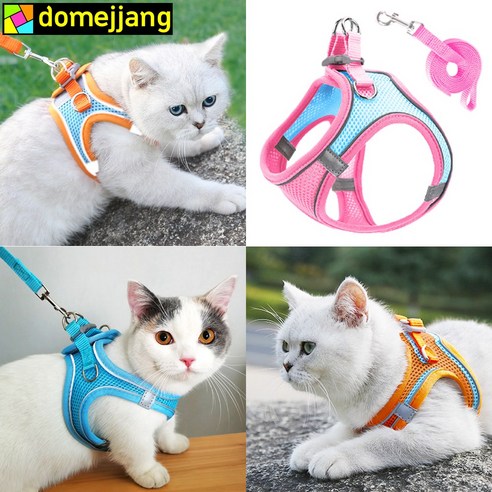 도매짱 고양이 하네스, 안전하고 스타일리시한 산책의 동반자 더룩강아지고양이목줄