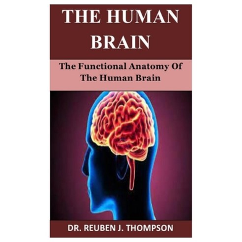 (영문도서) The Human Brain: The Functional Anatomy Of The Human Brain ...