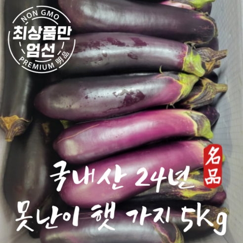 [한정특가] 국내산 못난이 가지 햇 가지 신선한 가지 5kg, 1개