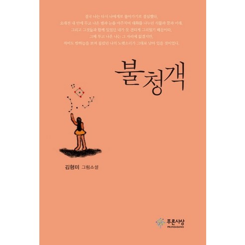 불청객:김형미 그림소설, 푸른사상