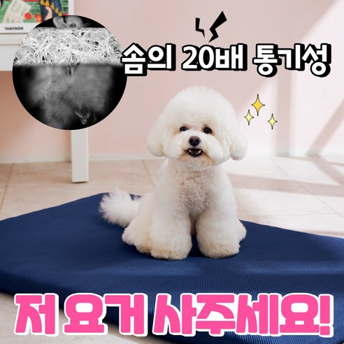반려견에게 최고의 잠자리를 선물하세요.