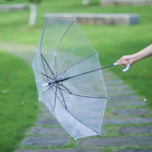 갑작스러운 비, 투명 우산 10개로 든든하게 대비하세요!