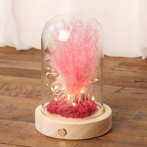 프리저브드 팜파스 LED 무드등, 네추럴 핑크