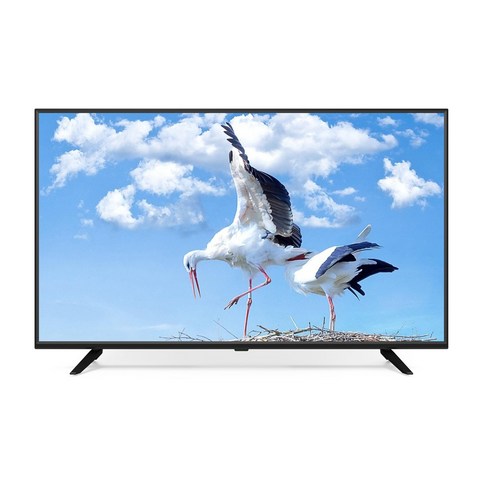 라익미 FHD LED TV, 108cm(43형)