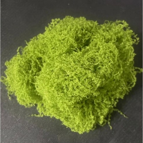 숲인더시티 인조이끼 플랜테리어 500g, 1개, 연그린