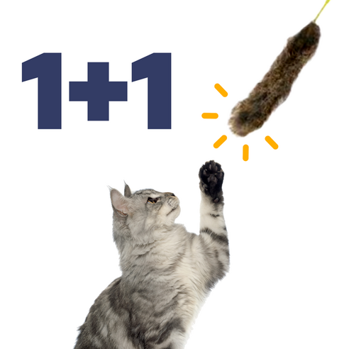 [1+1]우다다랩스 토끼털 부들부들 막대 낚시대 2개 스틱 랜덤발송, 랜덤 발송 고양이 용품