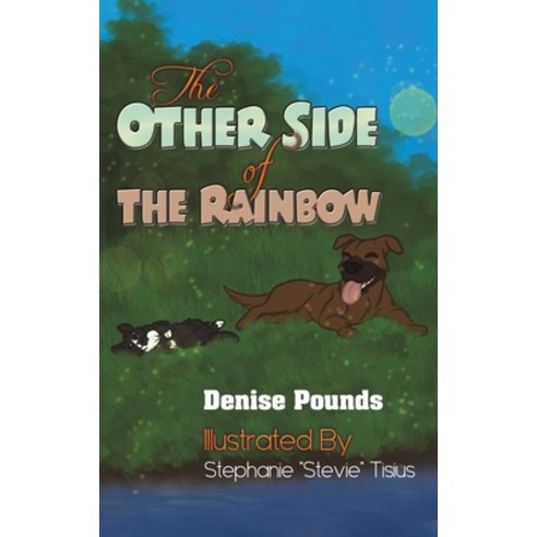 The Other Side of the Rainbow Hardcover, Austin Macauley, English, 9781647502799