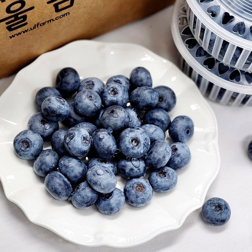 국내산 울팜 장흥 산청 블루베리 생과, 2개, 블루베리(특대)_100g