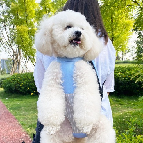 [SaleNOWㅣ인기상품] 혼시티 강아지 반려견 요술 가방 포대기: 애 canine을 위한 편안한 휴식처 [세일나우ㅣ추천상품]