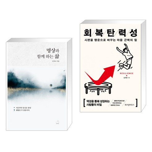 (김주환 세트) 내면소통 + 회복탄력성 (전2권) 11 (서점추천) 명상과 함께 하는 삶 + 회복탄력성 (전2권), 스노우폭스북스