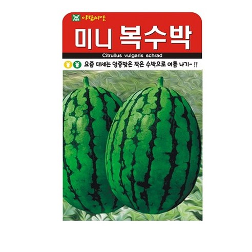 미니복수박 씨앗, 1개