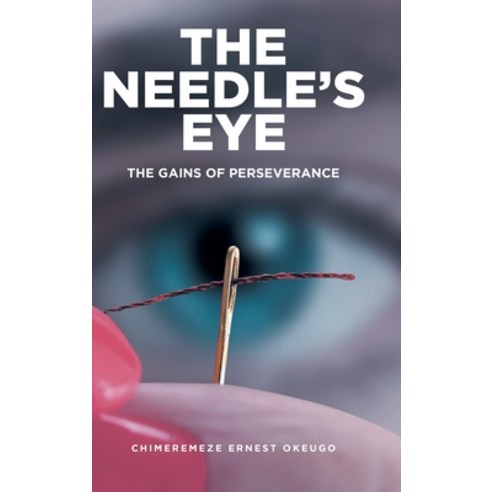 (영문도서) The Needle''s Eye: The Gains of Perseverance Hardcover, Fulton Books, English, 9798894271699