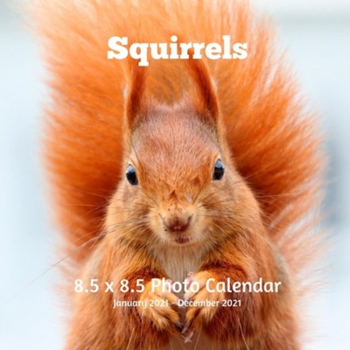 Squirrels 8.5 X 8.5 Calendar January 2021 - December 2021: Monthly Calendar with U.S./UK/ Canadian/C... Paperback, Independently Published, English, 9798583615841
