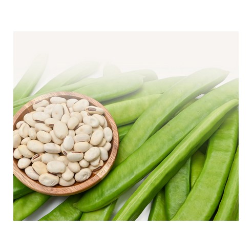 자연의 건강함을 담은 SARODA 유기농 작두콩차로 따뜻한 일상을 시작하세요.