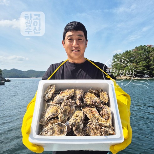 하고잽이수산 브러시세척 깔끔한 통영 석화 굴 (조개칼+회초장증정), 1박스, 5kg