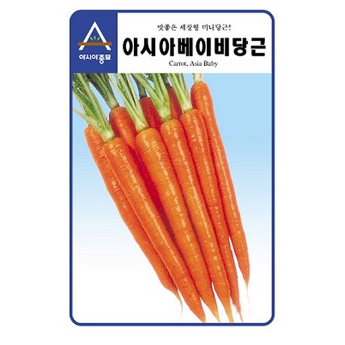 베이비당근 씨앗 당근 씨 종자, 3개
