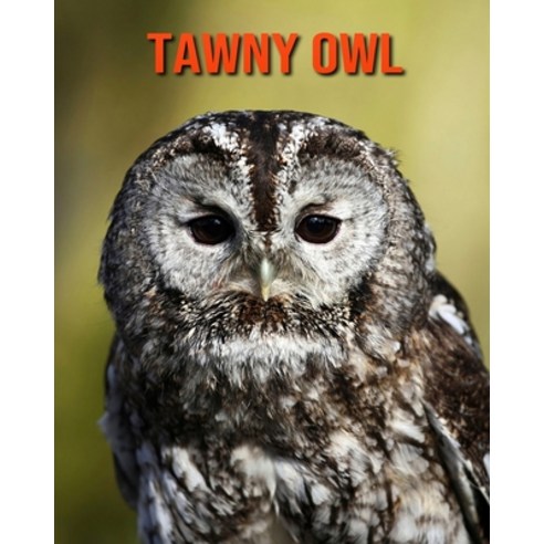 Tawny Owl: Fun Facts & Cool Pictures Paperback, Independently Published, English, 9798563160026