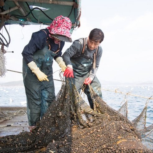 진동 미더덕 참미더덕: 제철의 맛과 영양, 다양한 요리에 활용하는 만능 재료