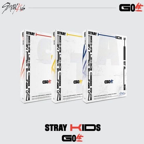 스트레이키즈 Stray Kids Go 일반반 고생 버전선택, A TYPE (레드)