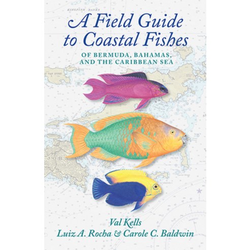 (영문도서) A Field Guide to Coastal Fishes of Bermuda Bahamas and the Caribbean Sea Paperback, Johns Hopkins University Press, English, 9781421444680