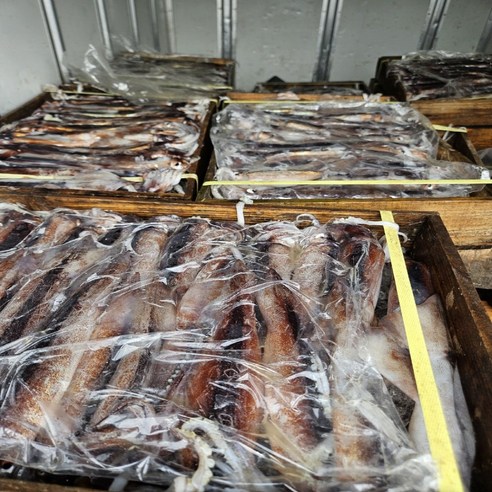 싱싱함이 살아있는 복덩이네 산지직송 오징어, 맛과 건강을 한 번에!