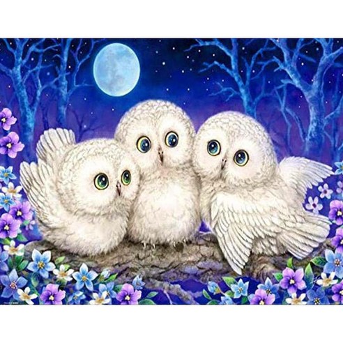 보석십자수 액자 캔버스형 50 x 40 cm DIY 풍수 해바라기 금전수 사과 엠제이에스, 1개, Y10 부엉이 세마리