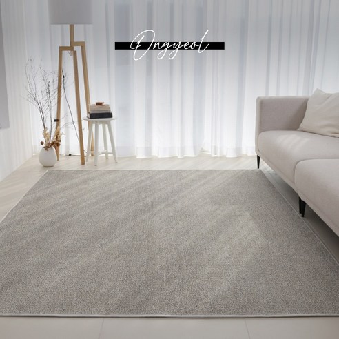 온결 먼지없는 워셔블 단모 사각 러그 카페트