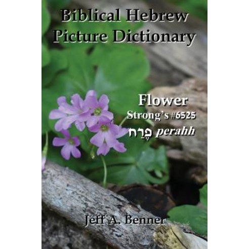 Biblical Hebrew Picture Dictionary Paperback, Virtualbookworm.com Publishing, English, 9781947532984