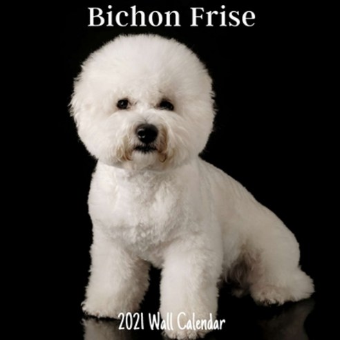 Bichon Frise 2021 Wall Calendar: Bichon Frise 2021 Calendar 18 Months. Paperback, Independently Published, English, 9798577755812