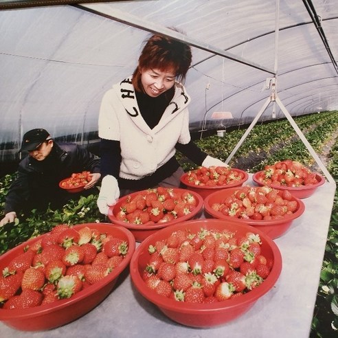 향긋한 딸기의 정수, 땅사랑 수제 딸기잼으로 특별한 하루를 시작하세요.