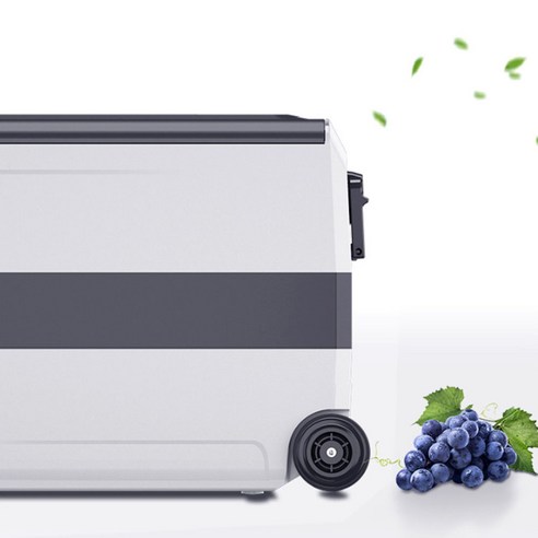 알피쿨 T 시리즈: 차 안에서도 집에서도 시원함을 잃지 않는 냉장고