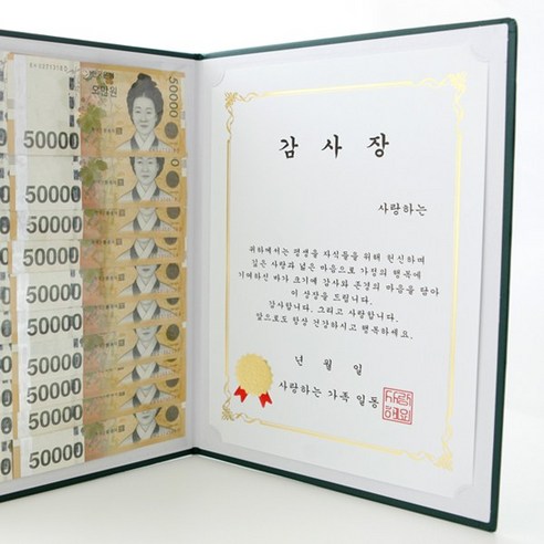 부모님 상장 용돈선물 어버이날 생일선물 어머니 아버지 감사장 YOUR LUCK 상장케이스, 1개