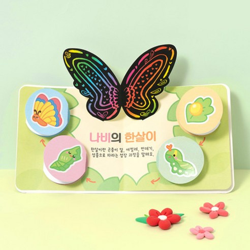 민화샵 나비의 한살이 북아트 만들기 나비 팝업북 diy, 혼합색상, 1세트