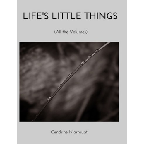 (영문도서) Life''s Little Things: All the Volumes Hardcover, Blurb, English, 9781006713811