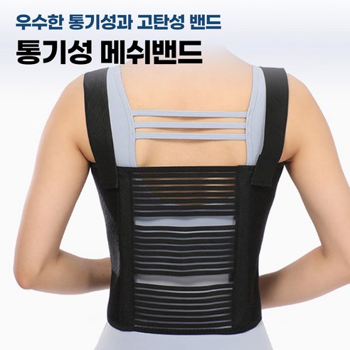 일상생활의 편안한 동반자