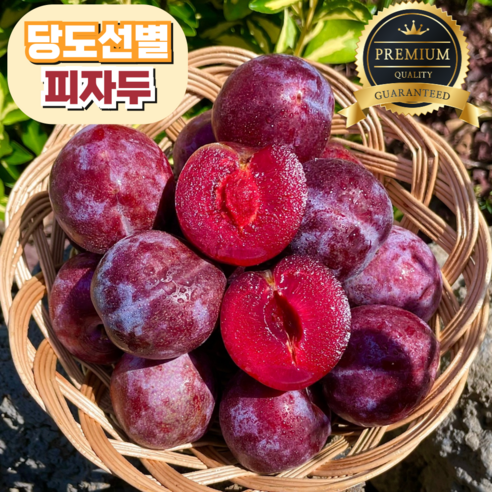 김천 피자두 산지직송 고당도 대과 3kg 1개 김천 피자두 산지직송 고당도 대과 3kg 1개